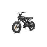 Електровелосипед Rooder 1000W, 48V25Ah, Black (БЕЗ АКУМУЛЯТОРА)