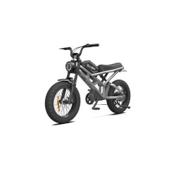 Електровелосипед Rooder 1000W, 48V25Ah, Silver (БЕЗ АКУМУЛЯТОРА)